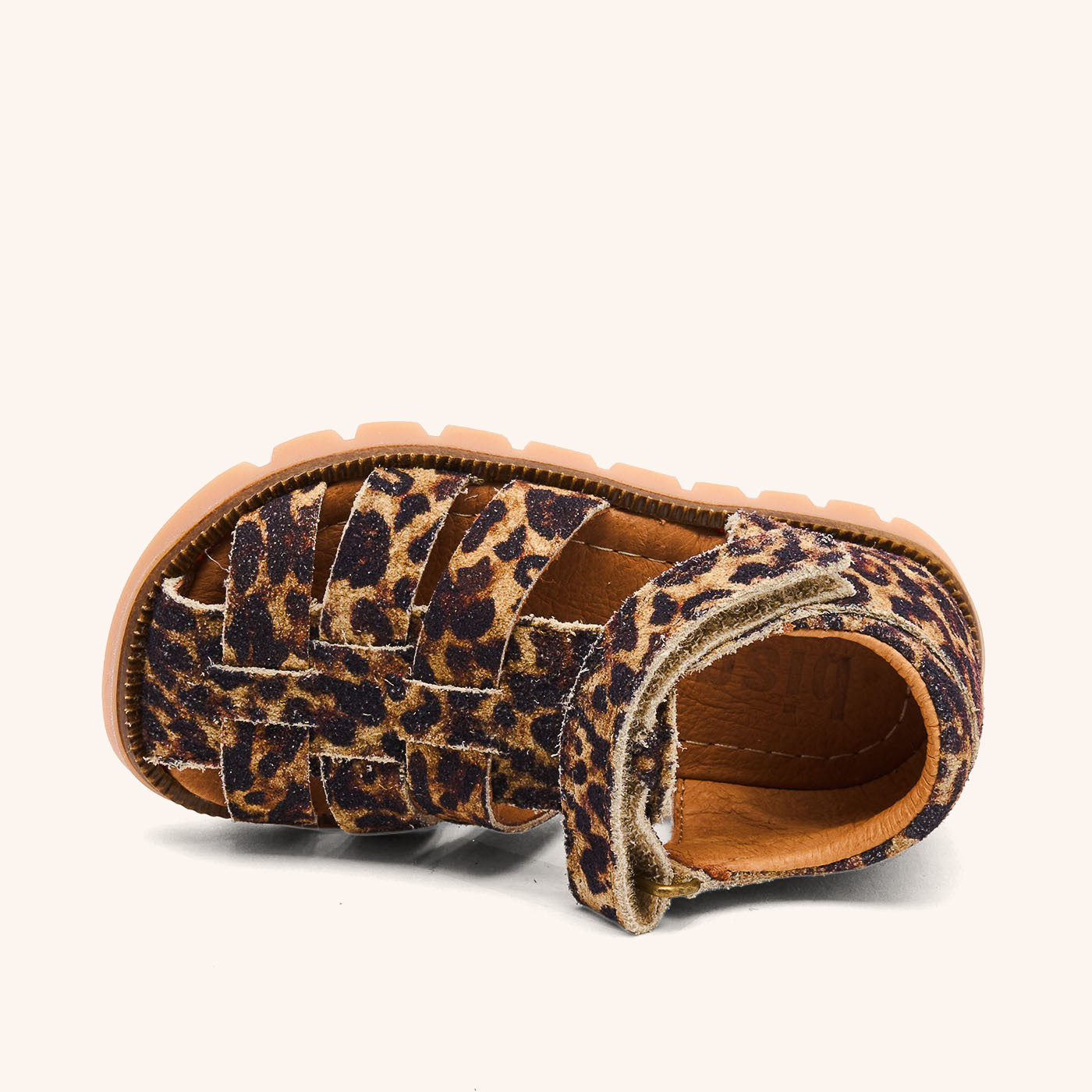 bisgaard beka leopard