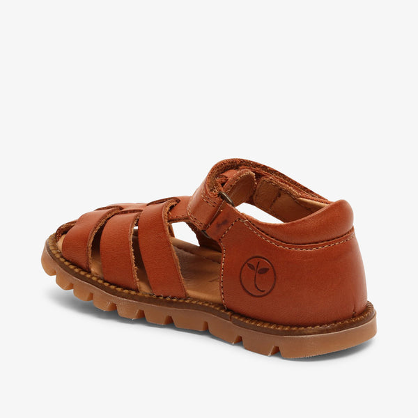 bisgaard beka cognac