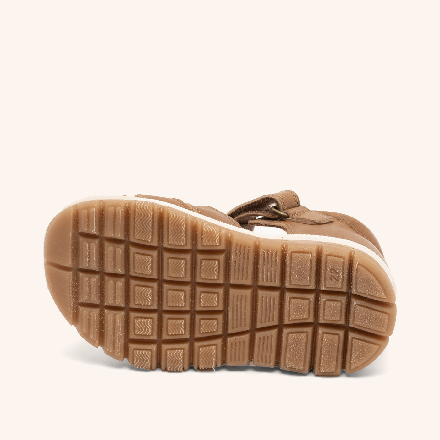 bisgaard angus coffee