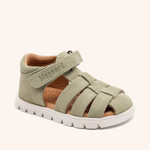 bisgaard beka s sage