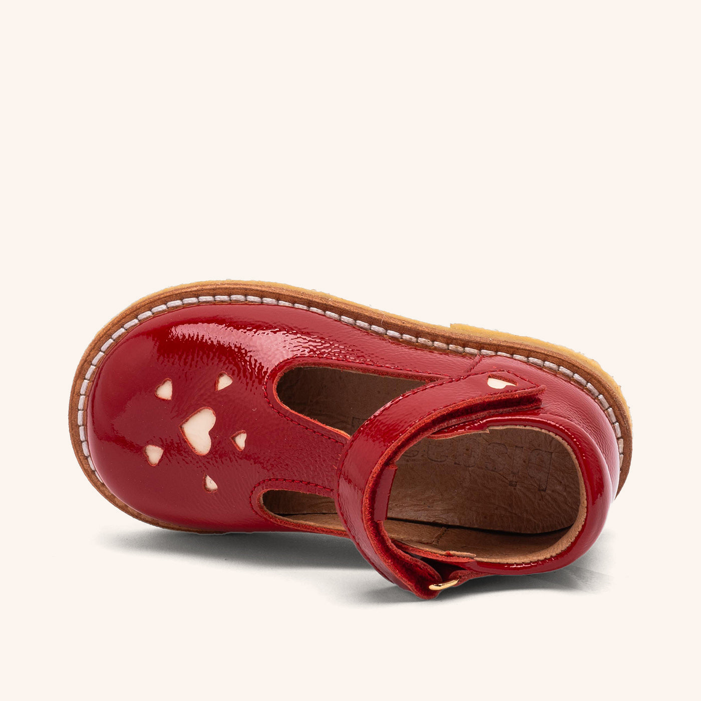 bisgaard almea rust patent