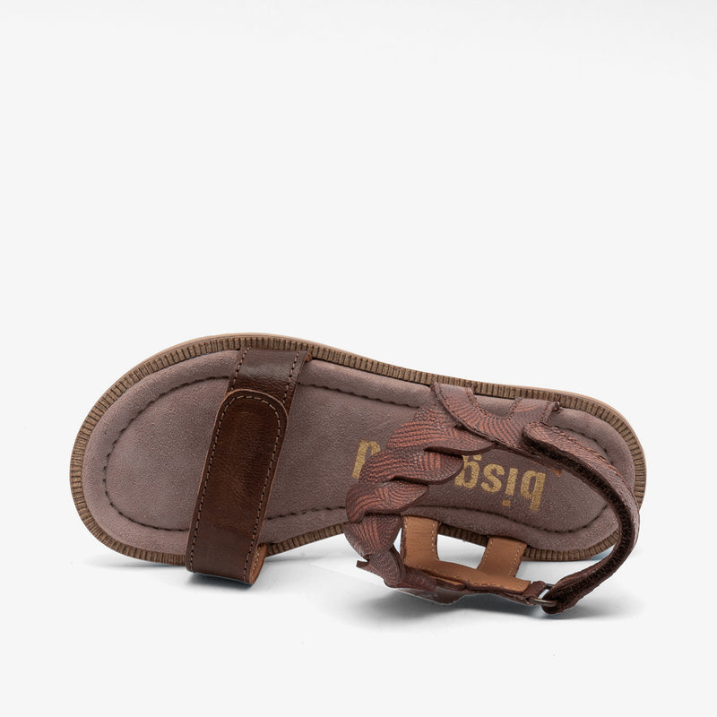 bisgaard cille brown