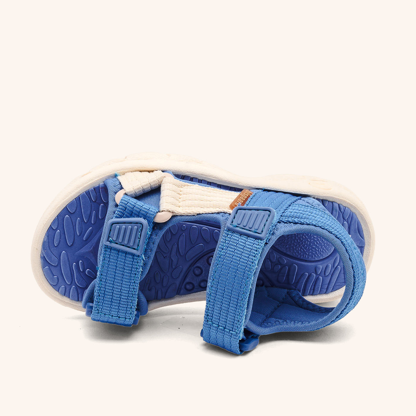 bisgaard nico cobalt