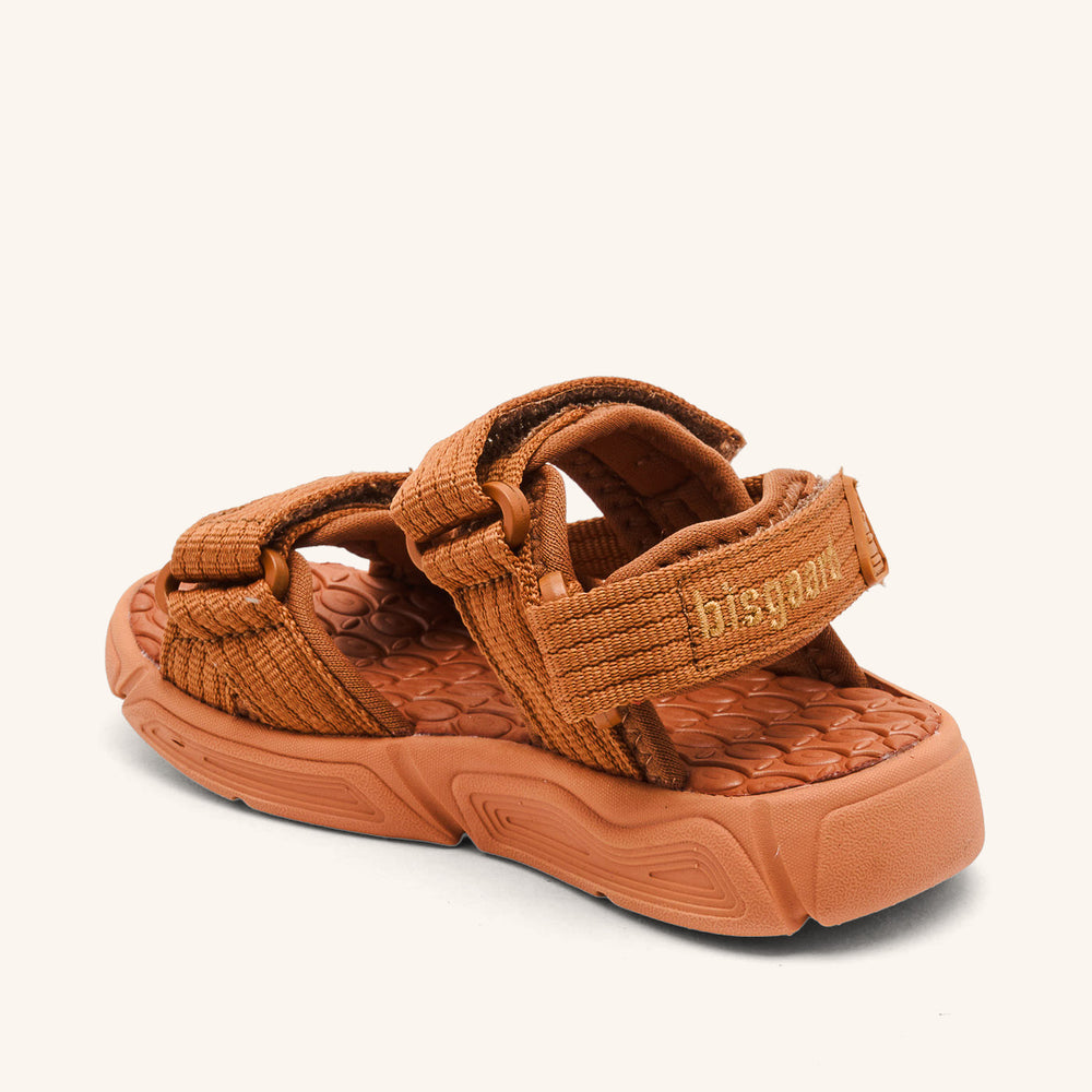 bisgaard louis brown