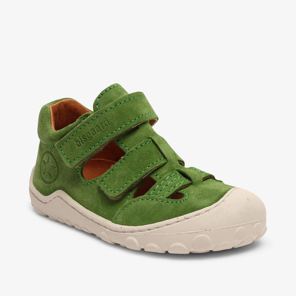 bisgaard flynn green