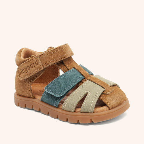 bisgaard frans brown