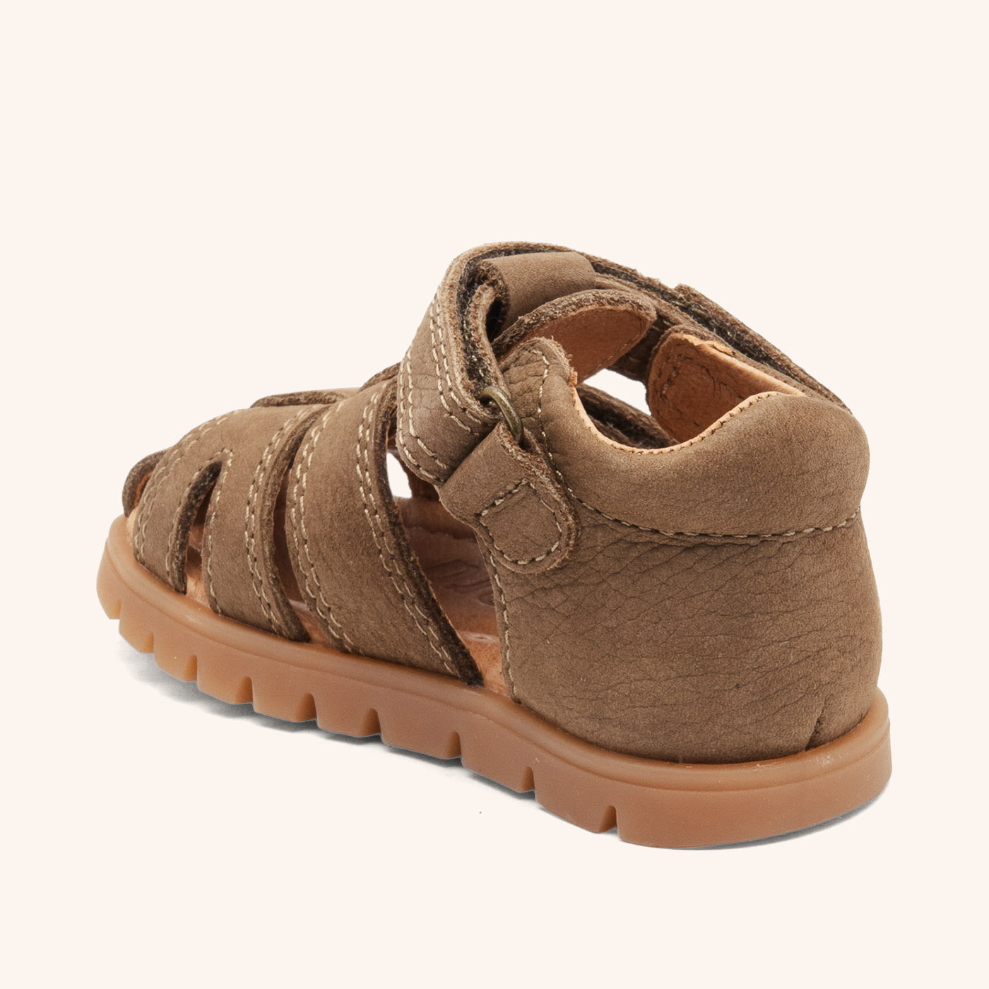 bisgaard frans earth