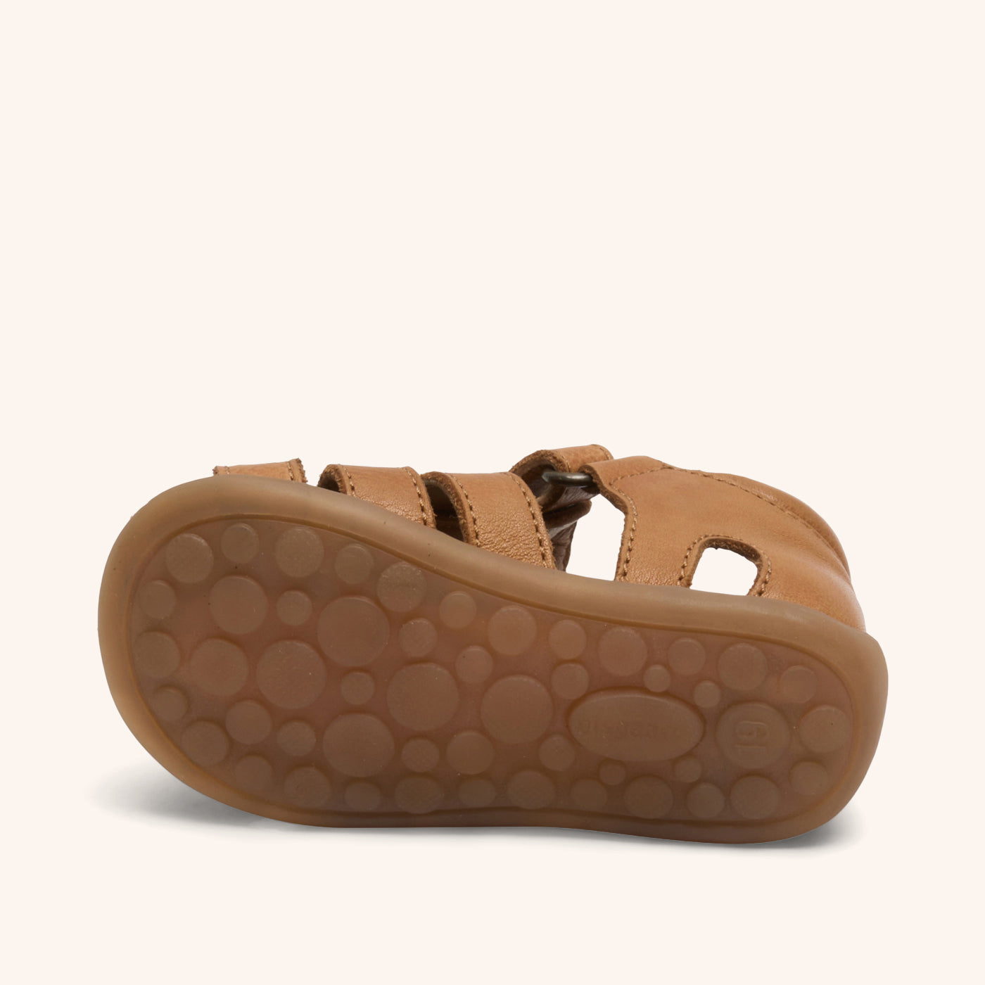 bisgaard aura cognac